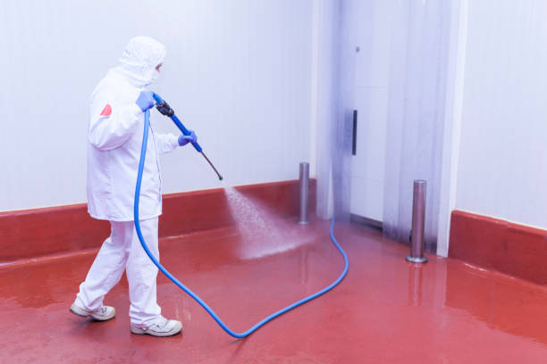Trusted Tuscaloosa, AL Pressure Washing Services Experts